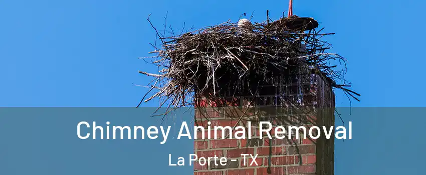 Chimney Animal Removal La Porte - TX