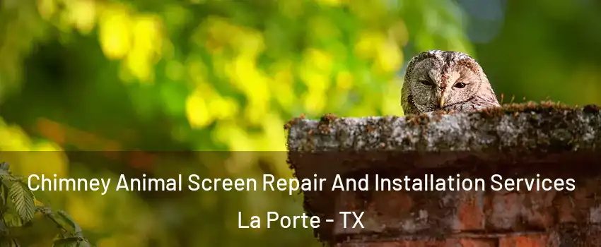  Chimney Animal Screen Repair And Installation Services La Porte - TX