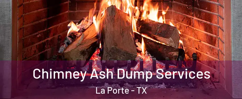  Chimney Ash Dump Services La Porte - TX