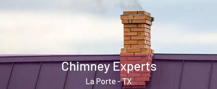 Chimney Experts La Porte - TX