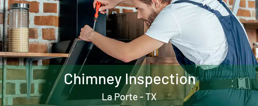  Chimney Inspection La Porte - TX