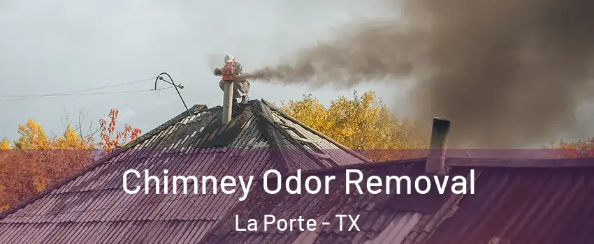  Chimney Odor Removal La Porte - TX