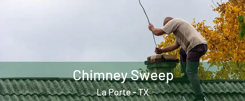  Chimney Sweep La Porte - TX