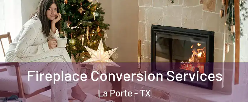  Fireplace Conversion Services La Porte - TX