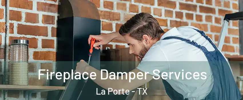  Fireplace Damper Services La Porte - TX