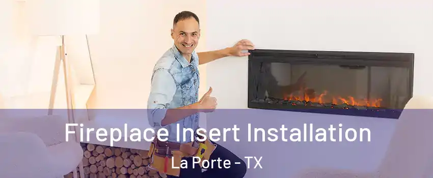  Fireplace Insert Installation La Porte - TX