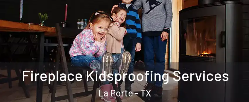  Fireplace Kidsproofing Services La Porte - TX
