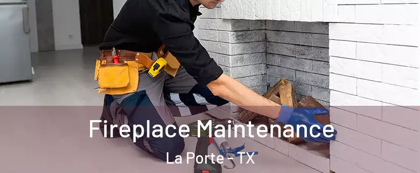  Fireplace Maintenance La Porte - TX