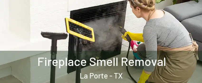  Fireplace Smell Removal La Porte - TX