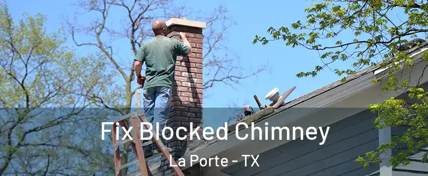 Fix Blocked Chimney La Porte - TX