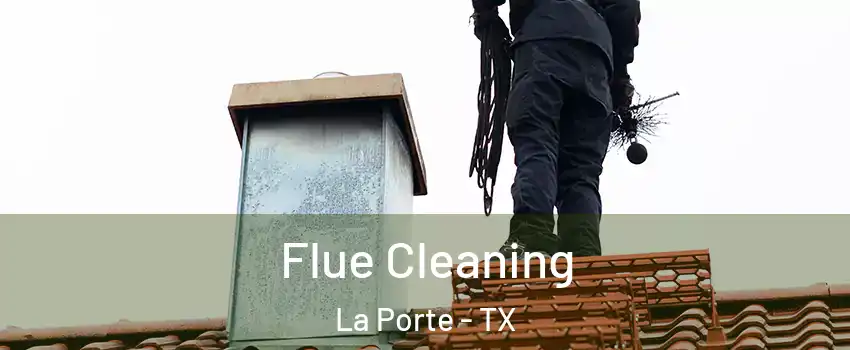  Flue Cleaning La Porte - TX