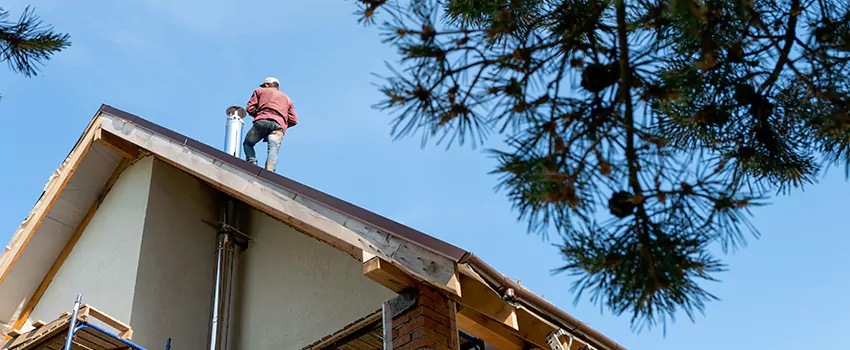 Birds Removal Contractors from Chimney in La Porte, TX