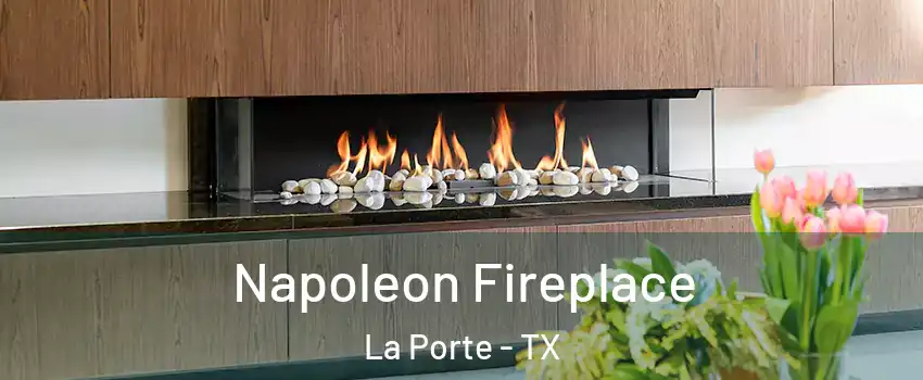  Napoleon Fireplace La Porte - TX