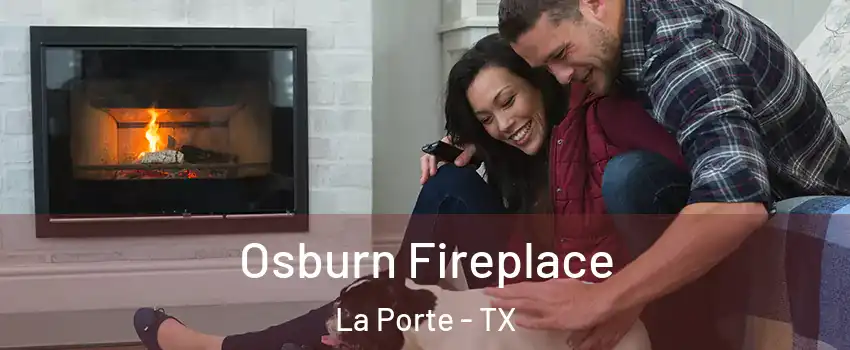  Osburn Fireplace La Porte - TX
