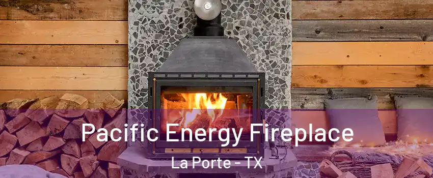  Pacific Energy Fireplace La Porte - TX